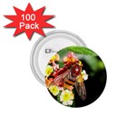 Bee Flower 1.75  Button (100 pack) 