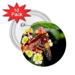 Bee Flower 2.25  Button (10 pack)