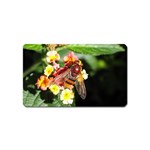 Bee Flower Magnet (Name Card)