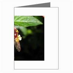 Bee Flower Greeting Card from UrbanLoad.com Left