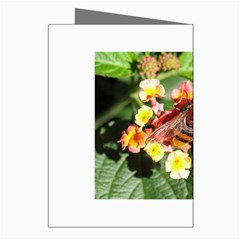 Bee Flower Greeting Cards (Pkg of 8) from UrbanLoad.com Right