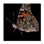 Bulgaria Butterfly Tile Coaster