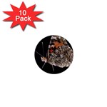 Bulgaria Butterfly 1  Mini Magnet (10 pack) 