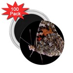 Bulgaria Butterfly 2.25  Magnet (100 pack) 