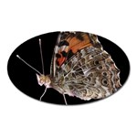 Bulgaria Butterfly Magnet (Oval)