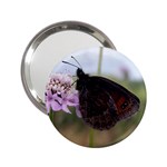 Erebia Pronoe Rila (Bulgaria Butterfly) 2.25  Handbag Mirror