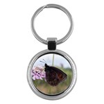 Erebia Pronoe Rila (Bulgaria Butterfly) Key Chain (Round)