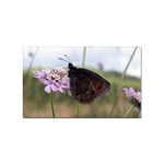 Erebia Pronoe Rila (Bulgaria Butterfly) Sticker Rectangular (100 pack)