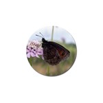 Erebia Pronoe Rila (Bulgaria Butterfly) Golf Ball Marker (4 pack)
