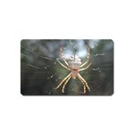 White Spider Magnet (Name Card)