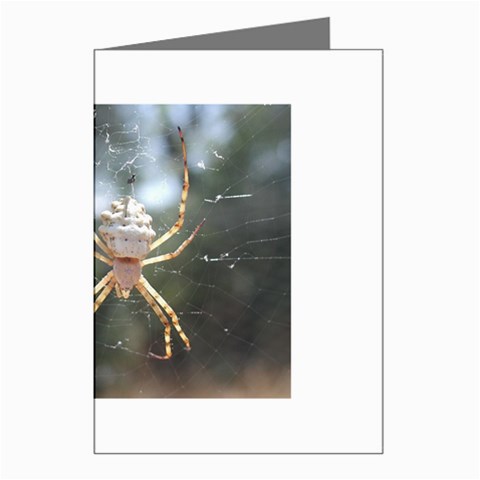 White Spider Greeting Cards (Pkg of 8) from UrbanLoad.com Left