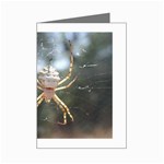White Spider Mini Greeting Card