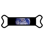 Earth from Space Magnet (Dog Bone)