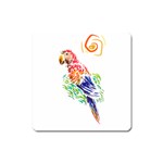Scarlet Macaw Magnet (Square)