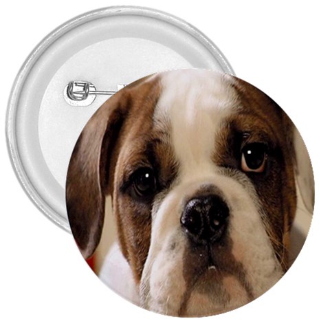 American Bulldog Puppy 3  Button from UrbanLoad.com Front