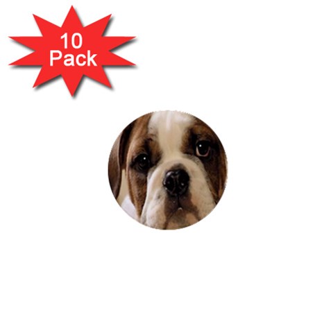 American Bulldog Puppy 1  Mini Button (10 pack) from UrbanLoad.com Front