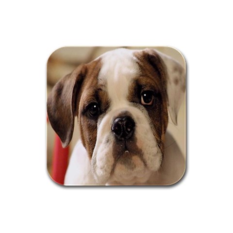 American Bulldog Puppy Rubber Square Coaster (4 pack) from UrbanLoad.com Front