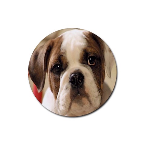 American Bulldog Puppy Rubber Round Coaster (4 pack) from UrbanLoad.com Front