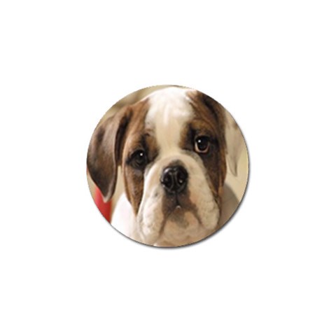 American Bulldog Puppy Golf Ball Marker (for Divot Tool) (10 pack) from UrbanLoad.com Front