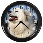 American Eskimo Dog Wall Clock (Black)