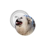 American Eskimo Dog 1.75  Button
