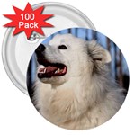American Eskimo Dog 3  Button (100 pack)