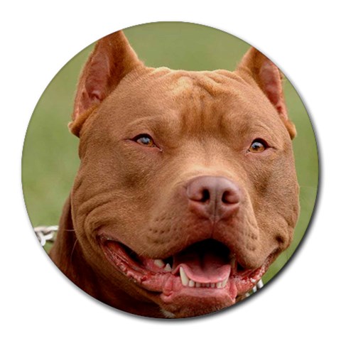 American Pit Bull Terrier Round Mousepad from UrbanLoad.com Front