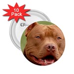 American Pit Bull Terrier 2.25  Button (10 pack)