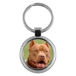 American Pit Bull Terrier Key Chain (Round)