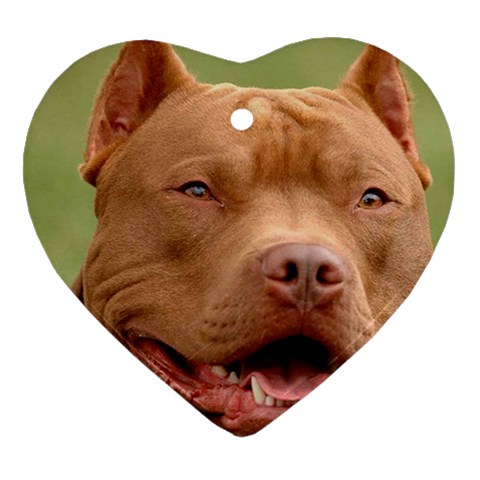 American Pit Bull Terrier Ornament (Heart) from UrbanLoad.com Front