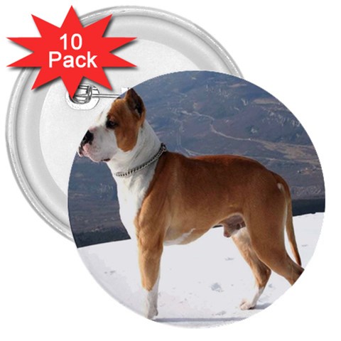 American Staffordshire 3  Button (10 pack) from UrbanLoad.com Front