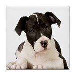 American Staffordshire Puppy Tile Coaster