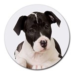 American Staffordshire Puppy Round Mousepad