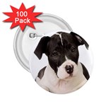 American Staffordshire Puppy 2.25  Button (100 pack)