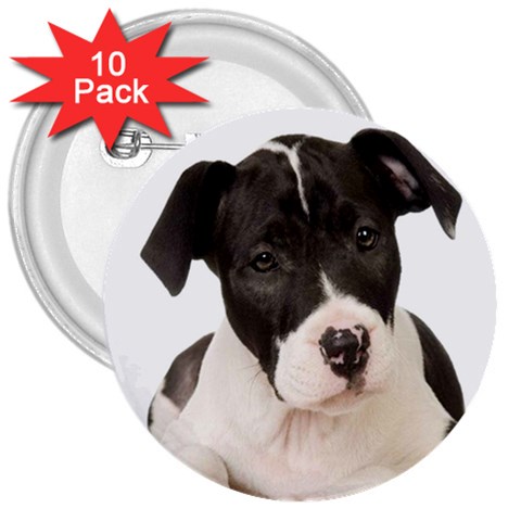 American Staffordshire Puppy 3  Button (10 pack) from UrbanLoad.com Front