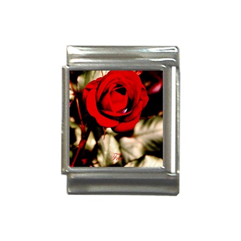 For You Rose Italian Charm (13mm) from UrbanLoad.com Front
