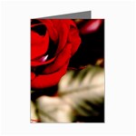 For You Rose Mini Greeting Card