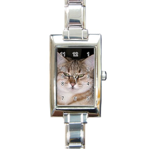 Cat Rectangular Italian Charm Watch from UrbanLoad.com Front
