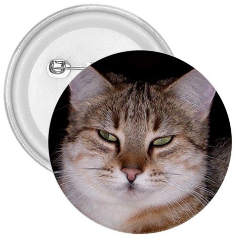 Cat 3  Button from UrbanLoad.com Front