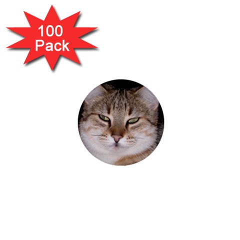 Cat 1  Mini Button (100 pack)  from UrbanLoad.com Front