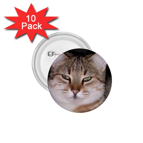 Cat 1.75  Button (10 pack)  from UrbanLoad.com Front