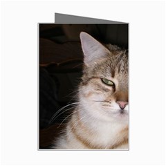 Cat Mini Greeting Card from UrbanLoad.com Right