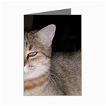 Cat Mini Greeting Cards (Pkg of 8)