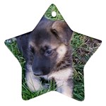German Shepherd Puppy Ornament (Star)