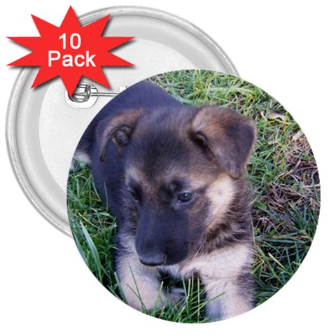 German Shepherd Puppy 3  Button (10 pack) from UrbanLoad.com Front