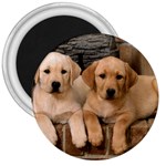 Labrador  Puppy 2 3  Magnet