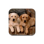 Labrador  Puppy 2 Rubber Coaster (Square)