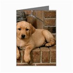 Labrador  Puppy 2 Mini Greeting Card