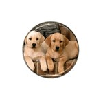 Labrador  Puppy 2 Hat Clip Ball Marker (10 pack)