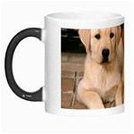 Labrador  Puppy 2 Morph Mug